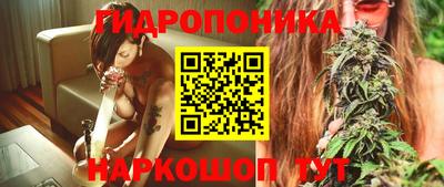 индика Новозыбков