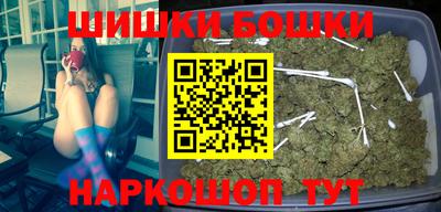 индика Новозыбков